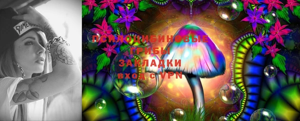крисы Горнозаводск