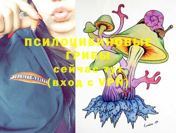 крисы Горнозаводск