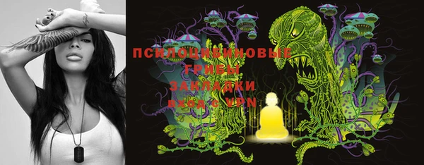 крисы Горнозаводск