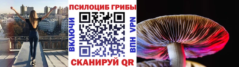 купить  цена  Гремячинск  Галлюциногенные грибы Magic Shrooms 